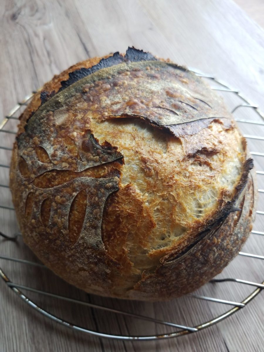 Sourdough round boule with a beautiful brown crusty exterior